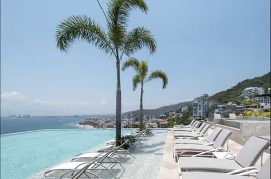 Palms over the pool
